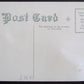 I CAN NOT TELL A LIE ANTIQUE POSTCARD w/ APPLIED DECORATION