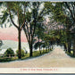 FULTONVILLE NY RIVER STREET ANTIQUE POSTCARD