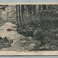 PARK RIDGE NJ LEAEH'S GLEN ANTIQUE POSTCARD by J.H. KRETZ