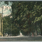 HONEOYE FALLS NY ANTIQUE POSTCARD