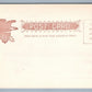 NEW YORK NY WILLIAMSBURG BRIDGE ANTIQUE POSTCARD #134