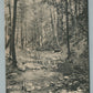 PARK RIDGE NJ LEAEH'S GLEN ANTIQUE POSTCARD