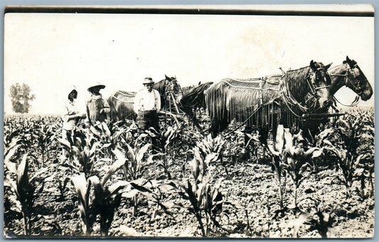 ANTIQUE MONTAGE COLLAGE REAL PHOTO POSTCARD RPPC FARM SCENE CORN FIELD HORSES