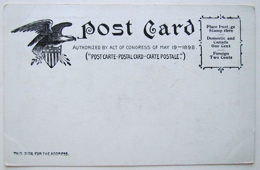 VINTAGE 1906 UNDIVIDED POSTCARD WEST OF RIVER STREET & PARK WILKES-BARRE PA