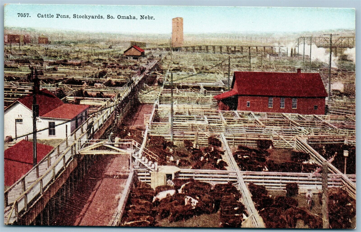 SO. OMAHA NE CATTLE PENS STOCKYARDS ANTIQUE POSTCARD