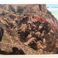 VINTAGE POSTCARD LAS ANIMAS CANON COLO. DURANGO SILVERTON train RAILROAD railway