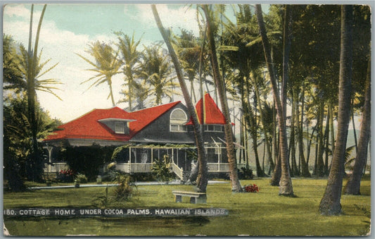 HAWAIIAN ISLANDS COTTAGE HOME ANTIQUE POSTCARD PRIVATE MAILING CARD