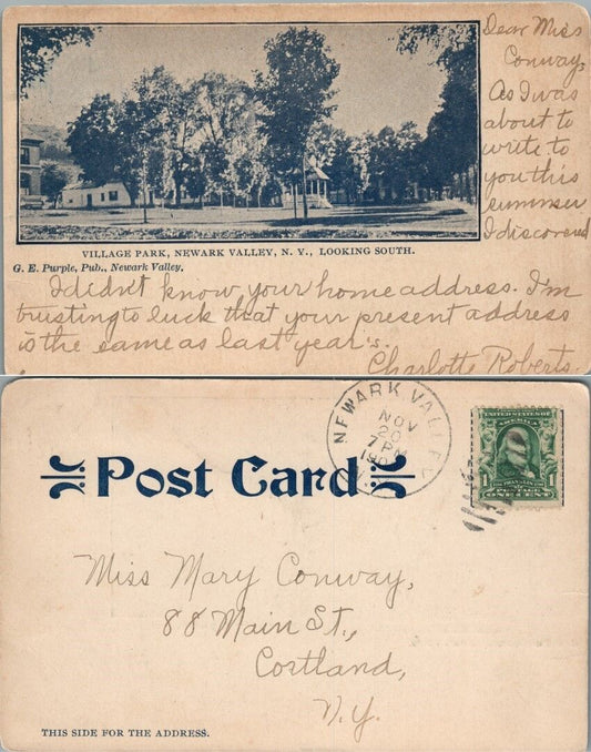 VILLAGE PARK NEWARK VALLEY N.Y. 1906 UNDIVIDED ANTIQUE POSTCARD