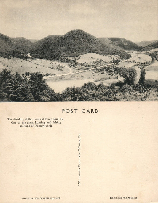TROUT RUN PA HUNTING & FISHING VINTAGE POSTCARD