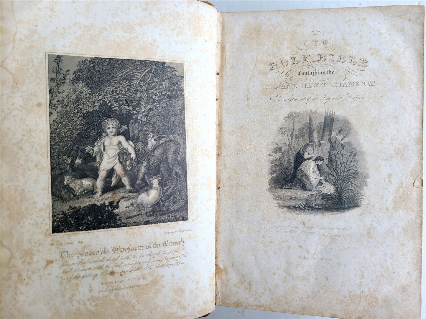 1838 BIBLE POLYGLOTT in ENGLISH antique AMERICANA Brattleboro ILLUSTRATED