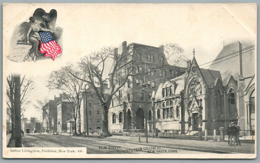 NEW HAVEN CT ELM STREET ANTIQUE POSTCARD by ARTHUR LIVINGSTON