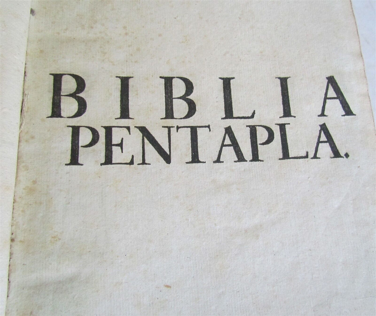 1710-1712 BIBLE in GERMAN BIBLIA PENTAPLA 2 VOLUMES w/ MAP antique VELLUM BOUND