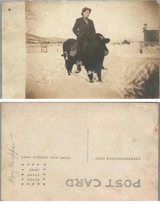 ANTIQUE RPPC REAL PHOTO POSTCARD - MAN ON BULL