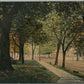 FLEMINGTON NJ MAIN STREET 1910 ANTIQUE POSTCARD