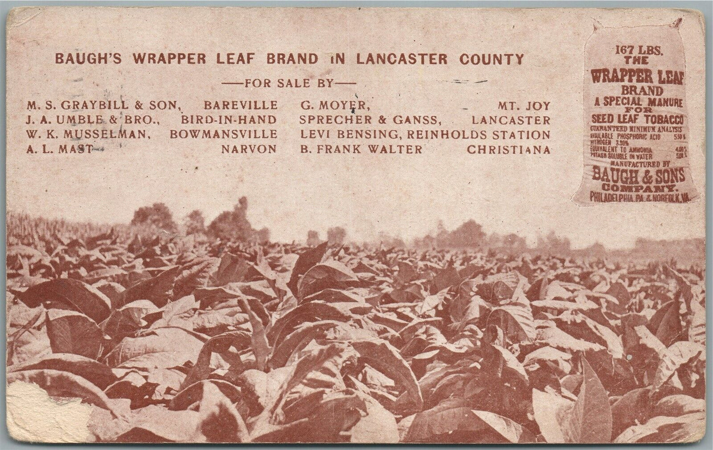 LANCASTER COUNTY PA BAUGH'S WRAPPER LEAF BRAND ANTIQUE POSTCARD