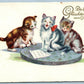 CATS SINGING VINTAGE POSTCARD