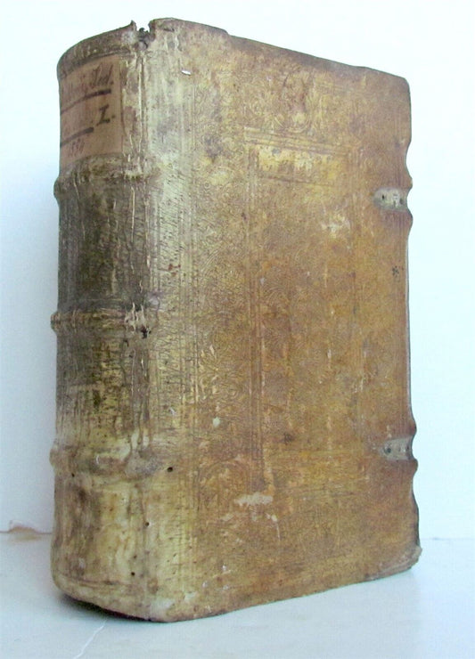 1554 Homiliarum tripartitarum by Josse Clichtoveus antique PIGSKIN BOUND vol. I