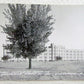 RPPC 1958 VINTAGE REAL PHOTO POSTCARD GLENWOOD STATE SCHOOL IOWA