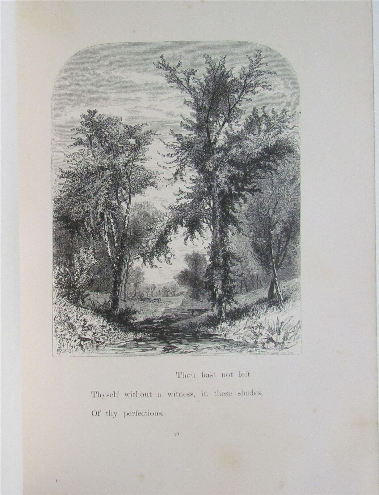 1860 FOREST HYMN by William Cullen Bryant ILLUSTRATED antique POETRY