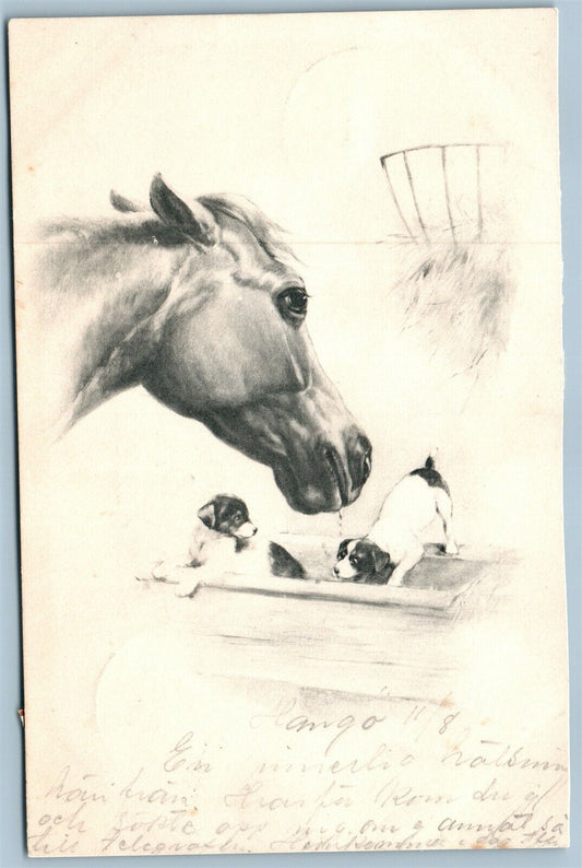 DOGS w/ HORSE 1901 ANTIQUE POSTCARD w/ RUSSIAN FINLAND STAMPS