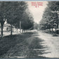 CHERRY VALLEY NY MAPLE AVENUE 1908 ANTIQUE POSTCARD