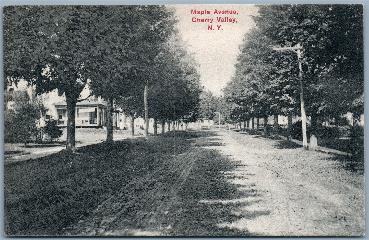 CHERRY VALLEY NY MAPLE AVENUE 1908 ANTIQUE POSTCARD