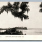 LAKE DORA & PALM ISLAND ANTIQUE POSTCARD