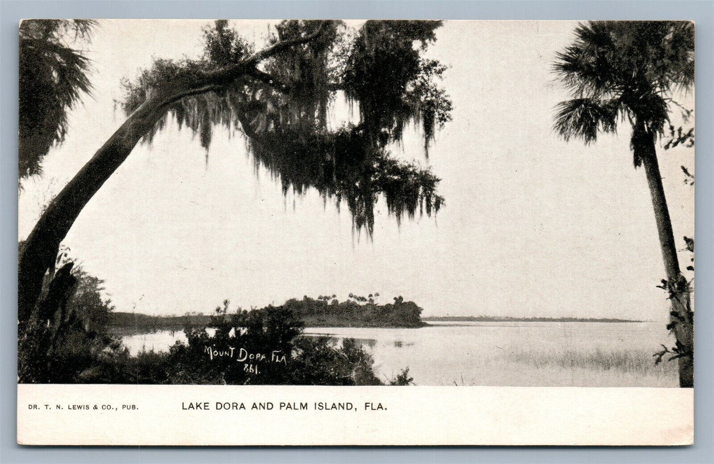 LAKE DORA & PALM ISLAND ANTIQUE POSTCARD