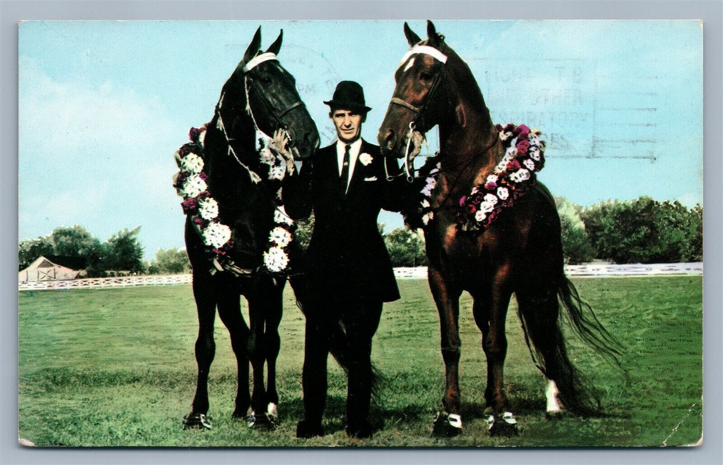 HORSE CHAMPIONS 1963 VINTAGE POSTCARD GOODLETTSVILLE TN