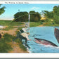 EXAGGERATED FISHING VINTAGE POSTCARD 3 FISHERMEN