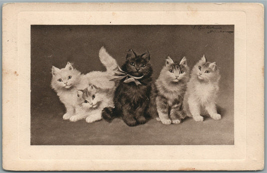 GROUP OF KITTENS ANTIQUE POSTCARD