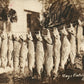 LARAMIE WYO FISHING CATCH ANTIQUE 1922 REAL PHOTO POSTCARD RPPC w/ CORK CANCEL