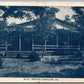 NEWTON HAMILTON PA M.T.C. ANTIQUE POSTCARD METHODIST TRAINING CAMP
