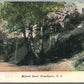 FRENCHTOWN NJ MILFORD ROAD ANTIQUE POSTCARD