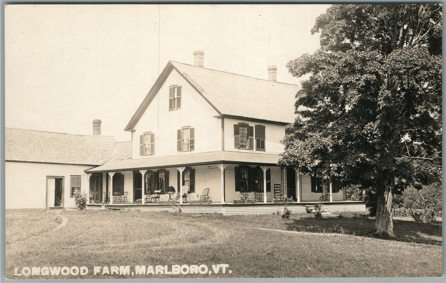 MARLBORO VT LONGWOOD FARM ANTIQUE REAL PHOTO POSTCARD RPPC