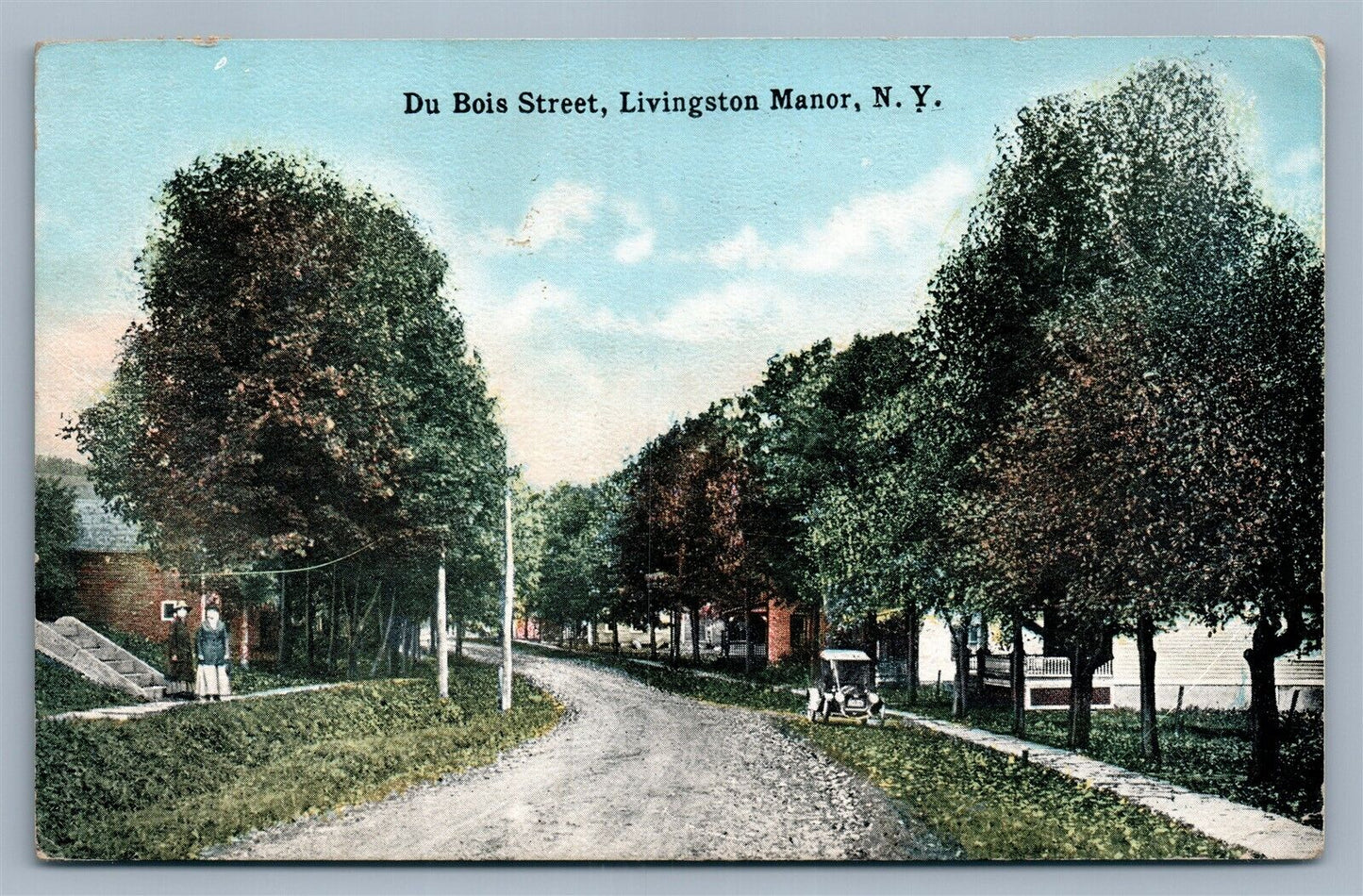 LIVINGSTON MANOR NY DU BOIS STREET ANTIQUE POSTCARD