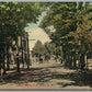 FORT PLAIN NY CENTER STREET ANTIQUE POSTCARD