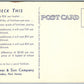 CAMDEN NJ ADVERTISING THOMAS & SON COMPANY FERTILIZERS VINTAGE POSTCARD
