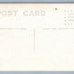 PIGS FARMING ANTIQUE REAL PHOTO POSTCARD RPPC