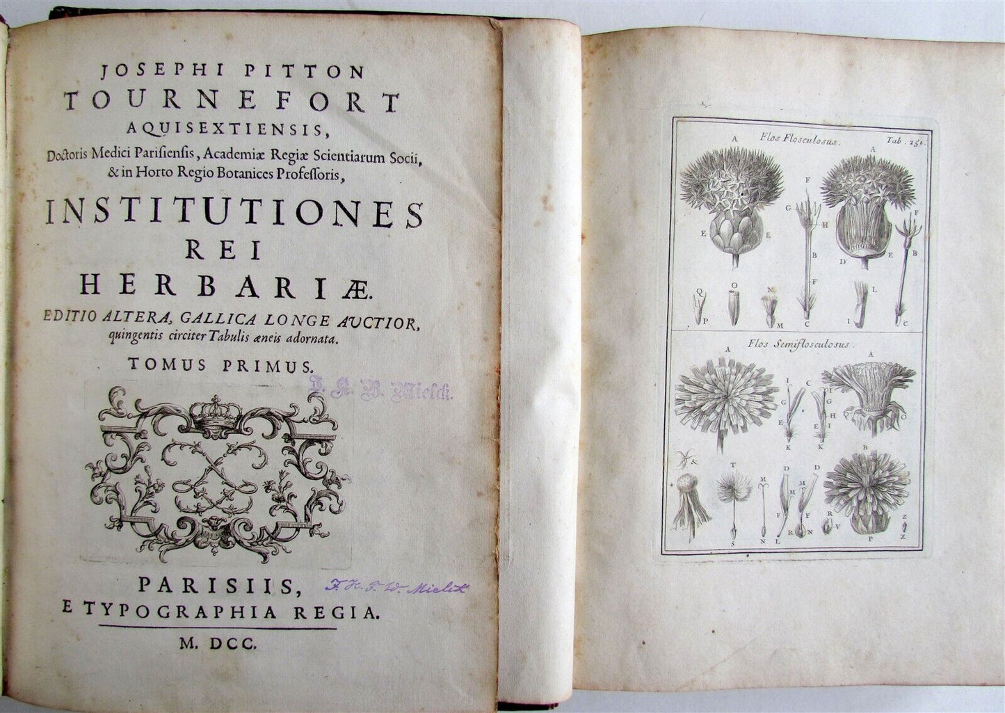 1700 BOTANY ILLUSTRATED 3 VOLUMES TOURNEFORT INSTITUTIONES REI HERBARIAE antique