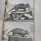 1774 NATURAL HISTORY by BUFFON 21 volumes antique ILLUSTRATED w/ 284 PLATES