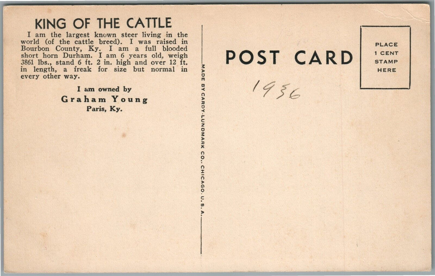 PARIS KY KING OF THE CATTLE ANTIQUE POSTCARD