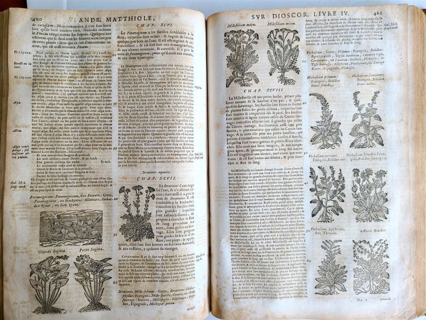 1680 MEDICAL PLANTS ILLUSTRATED w/ 1478 woodcuts antique by Mattioli FOLIO rare