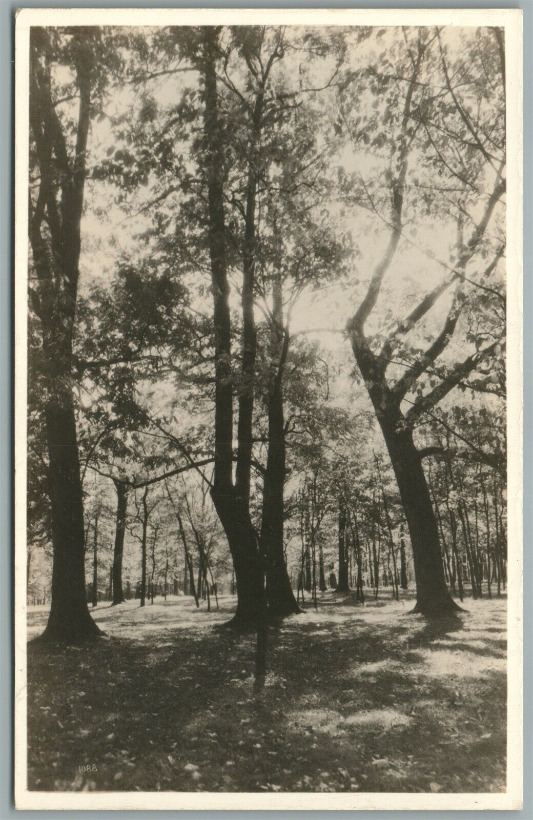 OXFORD OH MIAMI UNIVERSITY LOWER CAMPUS ANTIQUE REAL PHOTO POSTCARD RPPC