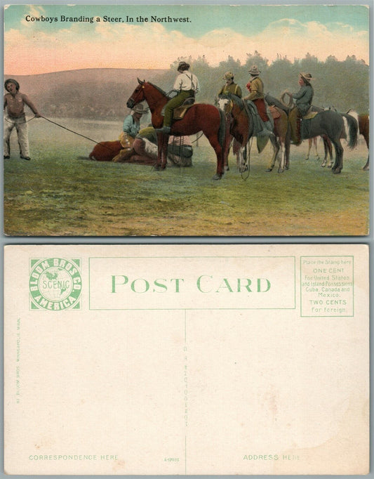 COWBOYS BRANDING A STEER IN THE NORTHWEST ANTIQUE POSTCARD