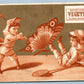 VEGETINE ANTIQUE ADVERTISING VICTORIAN TRADE CARD FIGHT w/ BUTTERFLY