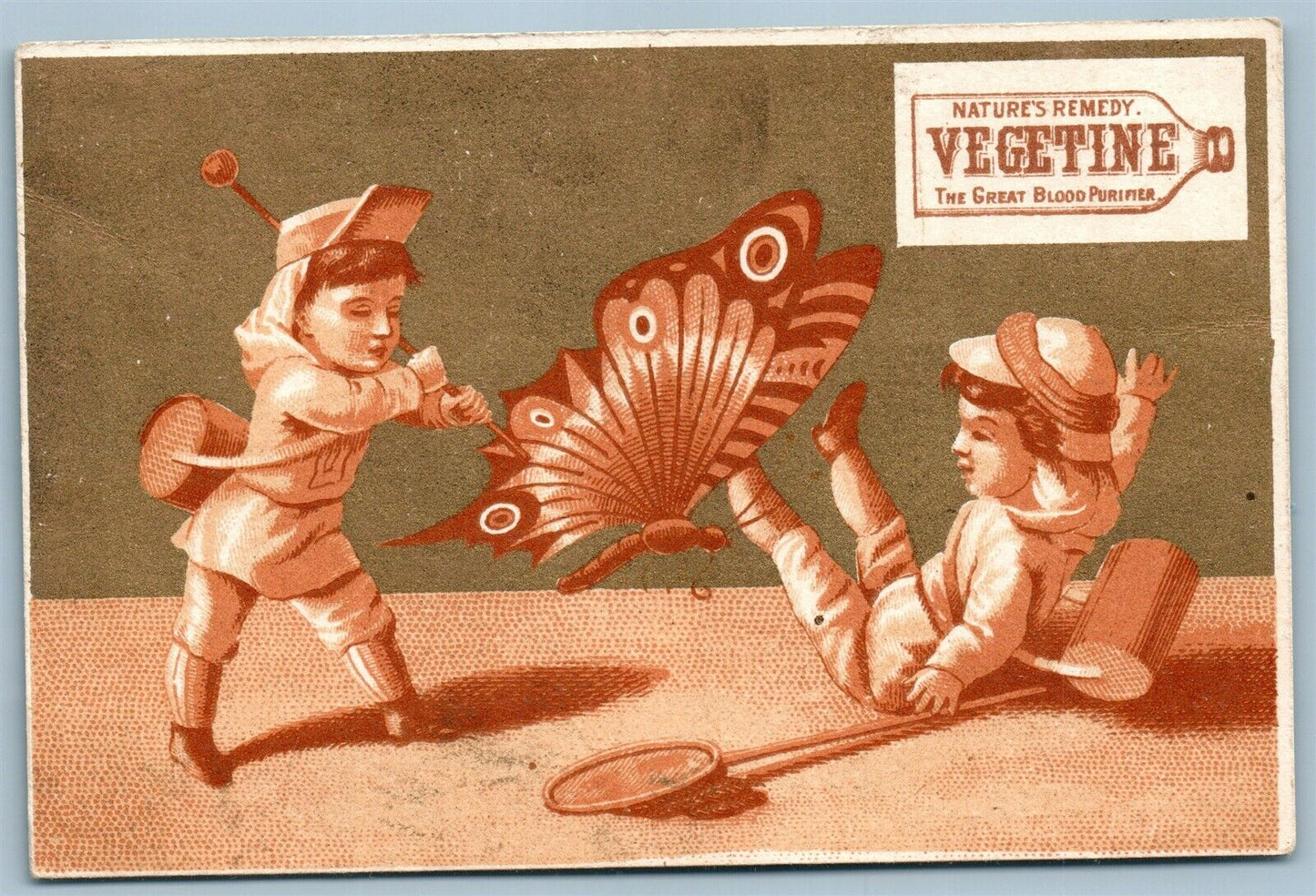 VEGETINE ANTIQUE ADVERTISING VICTORIAN TRADE CARD FIGHT w/ BUTTERFLY