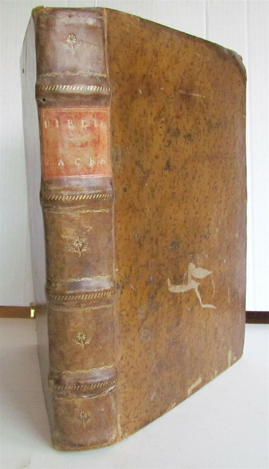 1529 BIBLE ILLUSTRATED TEXTUS BIBLIA antique FOLIO in LATIN RARE 16th CENTURY