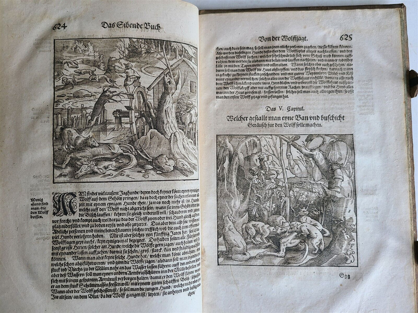 1580 ILLUSTRATED by Tobias Stimmer & J. Amman FOLIO antique HUNTING FALCONRY