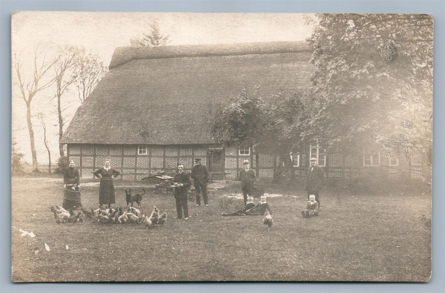 FAMILY w/ CHICKENS FARMING ANTIQUE REAL PHOTO POSTCARD RPPC
